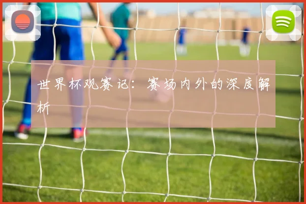 世界杯观赛记：赛场内外的深度解析