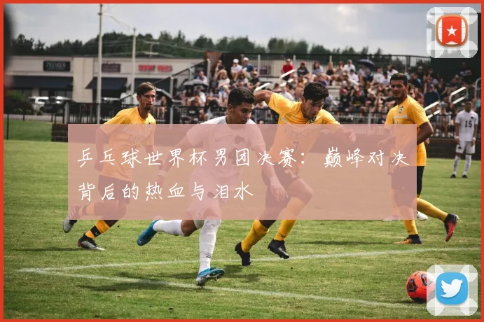 乒乓球世界杯男团决赛：巅峰对决背后的热血与泪水