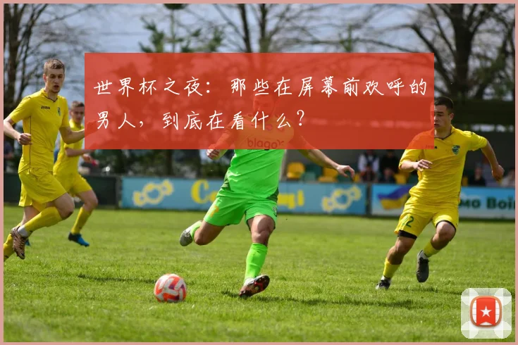 世界杯之夜：那些在屏幕前欢呼的男人，到底在看什么？