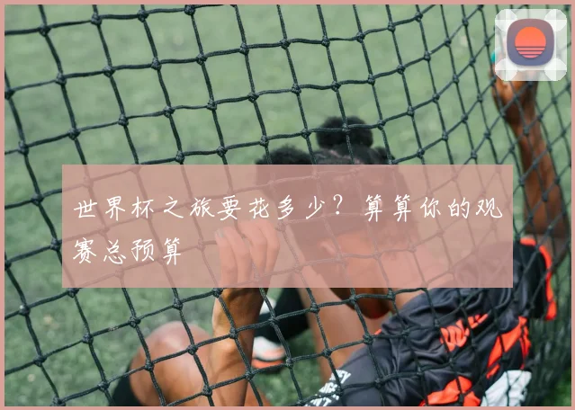 世界杯之旅要花多少？算算你的观赛总预算