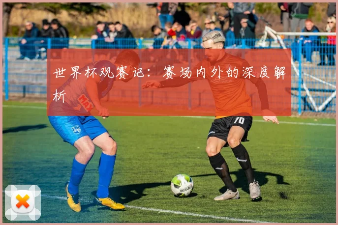 世界杯观赛记：赛场内外的深度解析