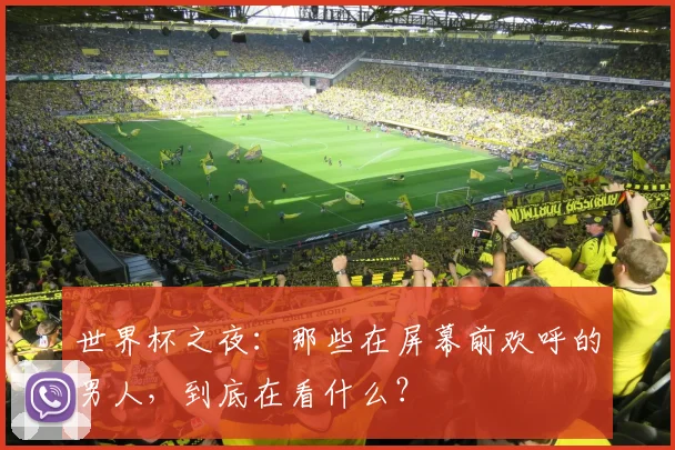世界杯之夜：那些在屏幕前欢呼的男人，到底在看什么？