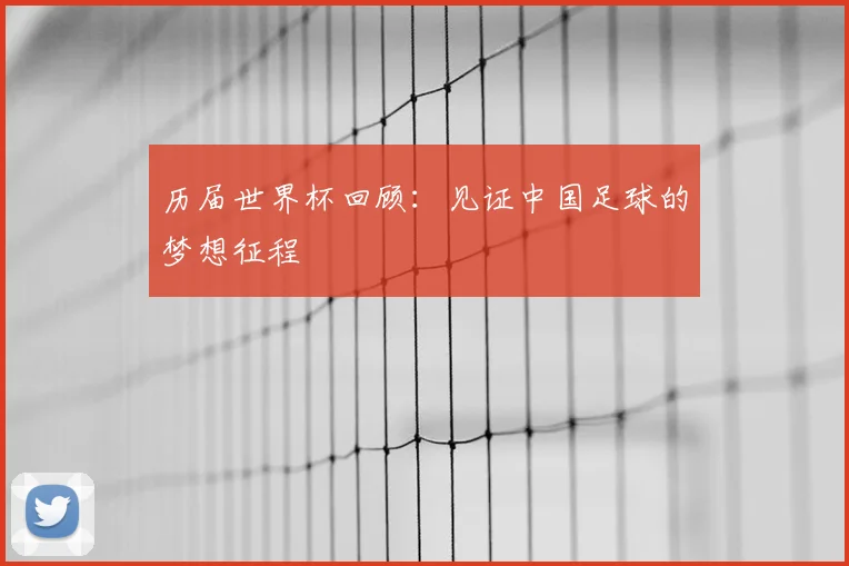 历届世界杯回顾：见证中国足球的梦想征程
